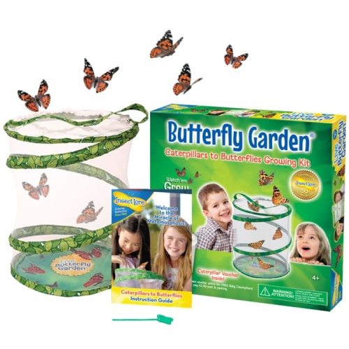 Insect Lore Butterfly Garden Growing Kit